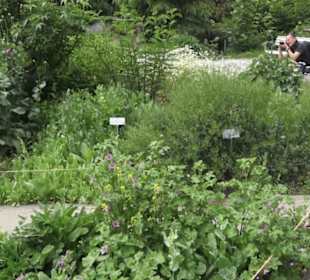 FIFA World Football Museum