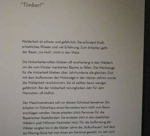 Gefährlich wenn der Baum fällt