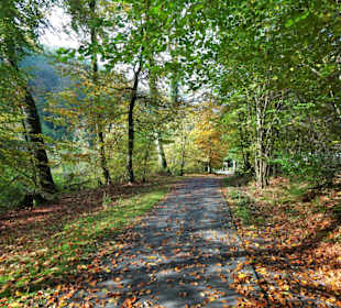 Impressionen aus dem Kurpark Bad Iburg