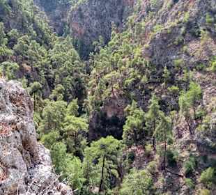 Wandern Manavgat - Kizilagac