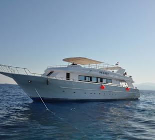 Die Orchid vom Blue Hole Aquacenter Safaga