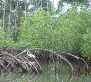 Nationalpark Los Haitises