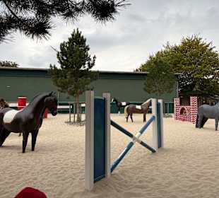 Irrland Bauernhof-Erlebnisoase