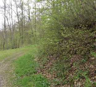 Premiumwanderweg Hochgebürzelt