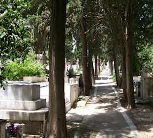 Allee