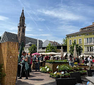 Blumenmarkt Bozen