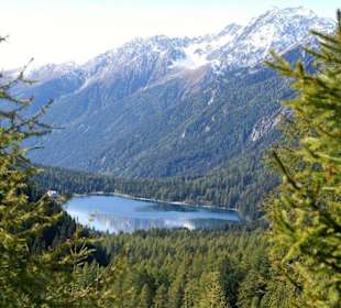 Blick auf den Arntholzer See