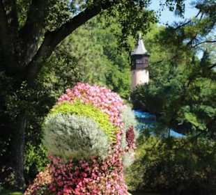 Insel Mainau 08/2017