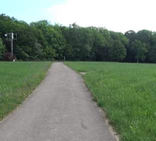 Premiumwanderweg "hochgelegen"