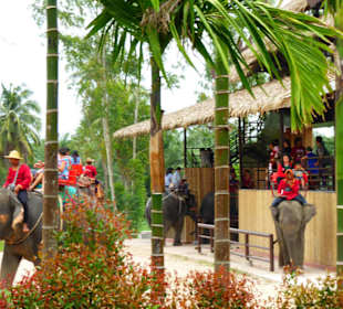 Elefantenreiten
