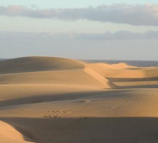 Dünen von Maspalomas