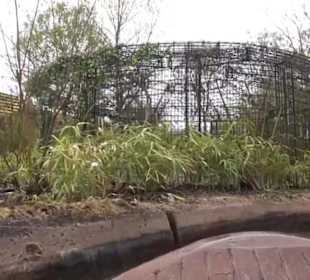 Land der Abenteuer - Dschungel X-pedition