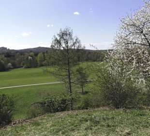 Sport- und Freizeitpark Markwasen