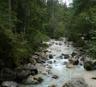 Entlang der Ramsauer Ache durch den Zauberwald