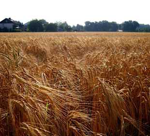 Blick nach Schiltorn