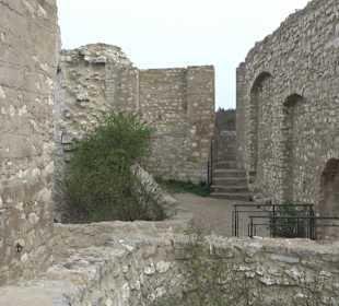 Wanderung rund um das Rusenschloss Gerhausen