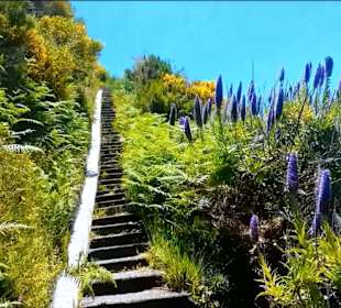 Am Südrand der Hochebene, Levada da Bica da Cana