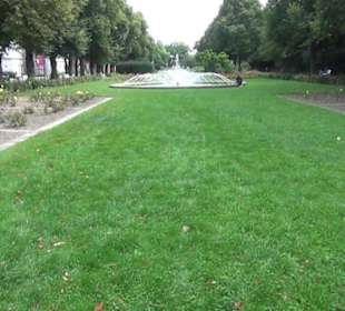 Rosengarten