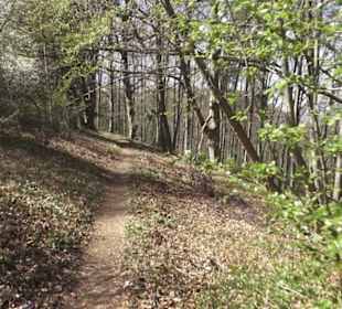 Wanderweg Hochgehkämpft