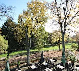 Blick zum Wildgatter 