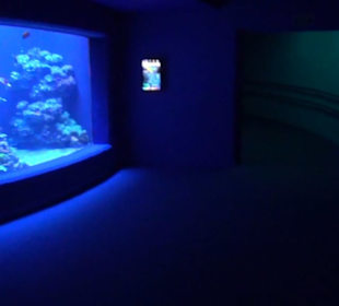 Palma Aquarium