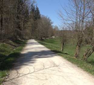 Waldkulturerbe Neuweiler Viehweide