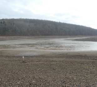 Nov. 2021: Am abgelassenen Ellertshäuser See