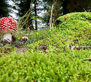 Wandern Oberwiesenthal