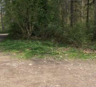 Wanderparkplatz am Waldlehrpfad