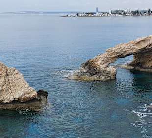 Ayia Napa Bogen Monachus Monachus