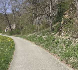 Waldlehrpfad an der Lauter