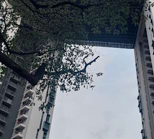 Pinnacle@Duxton von unten