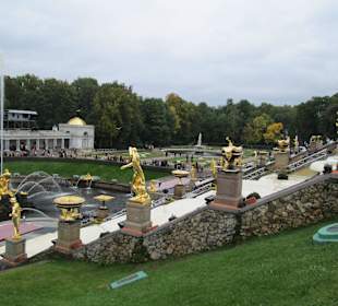 Park Dolny Peterhof