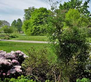 Eindrücke vom Rundgang durch den Berggarten