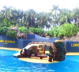 Ausflüge. Loro Park