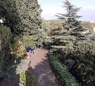 Jardin des Tanneurs