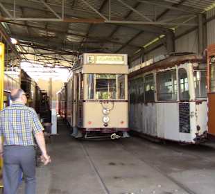 Halbe 5 aus Hannover