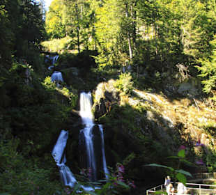 Blick auf die Wasserfälle von unten