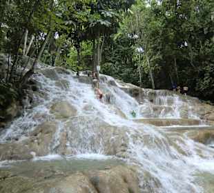 Hier hoch, der Weg ist das Ziel