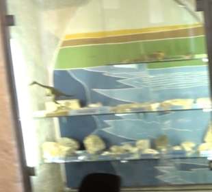 Archäologisches Museum