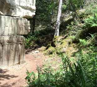 Wanderweg Märchensee Runde