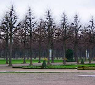 Der Schlossgarten im Winter