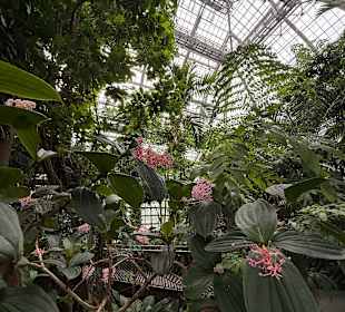 Botanischer Garten in Washington 