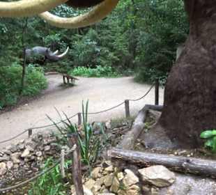 Dinosaurier Museum Altmühltal