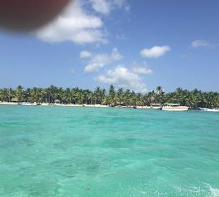 Saona