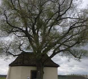 Die Gertraudis-Kapelle auf dem Kapellenberg