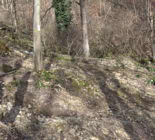 Wasserfallsteig
