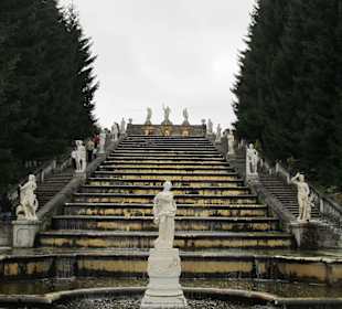 Park Dolny Peterhof