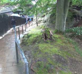 Felsenburg Neurathen