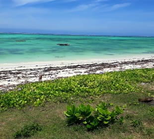 Makunduchi Strand